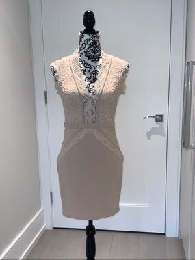 Entry Beige Lace Mini Dress